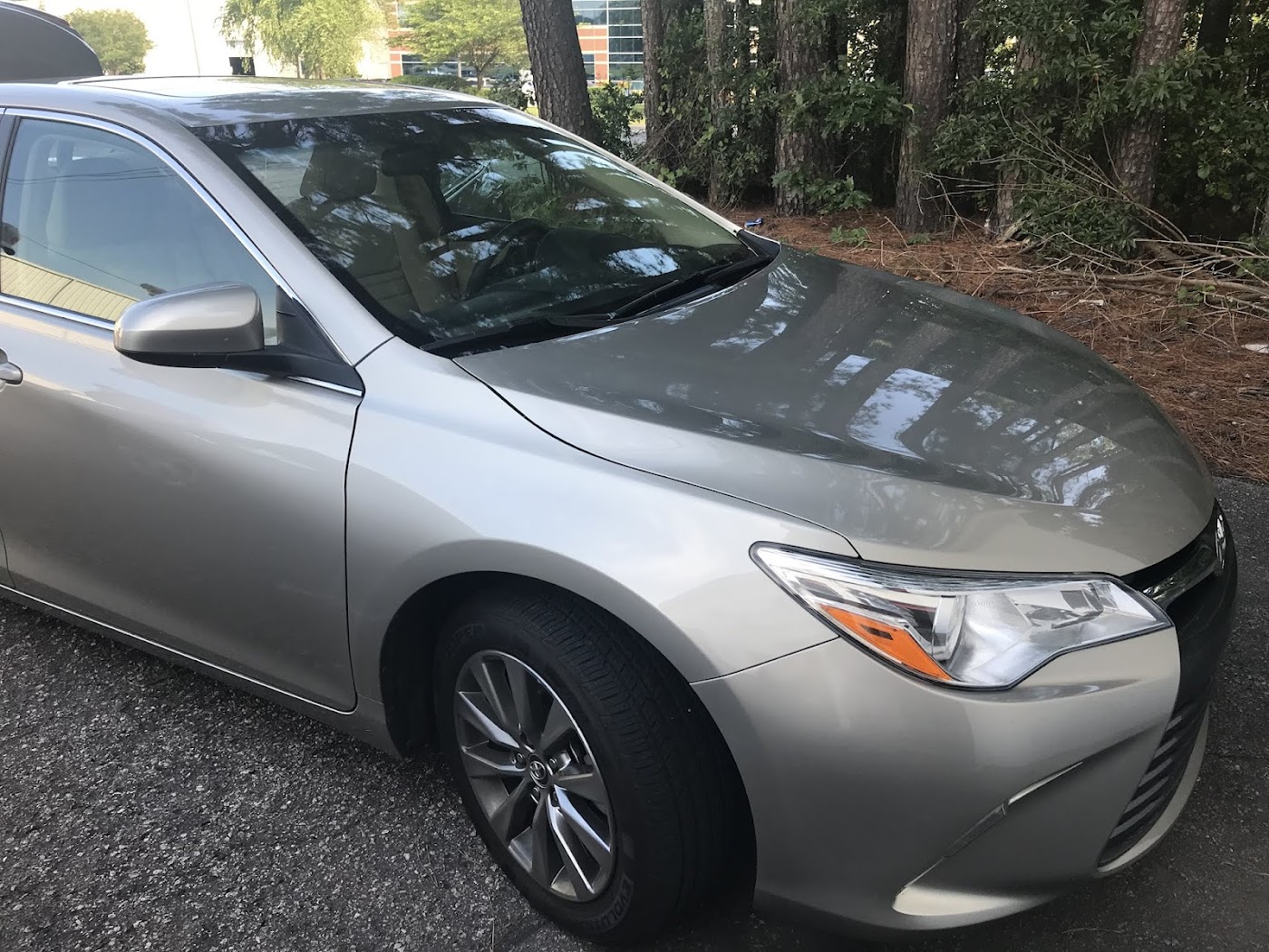 All Pro Detailing & Ceramic Coating photo 2