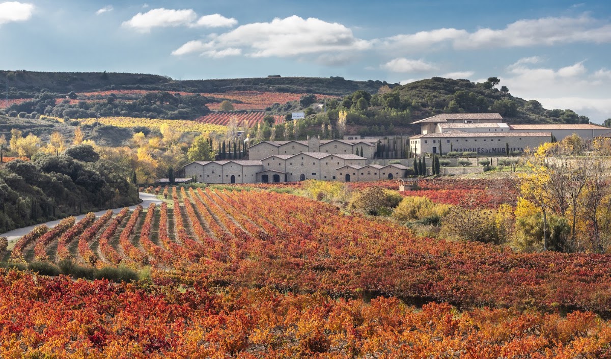 Bodega Marqués de Murrieta