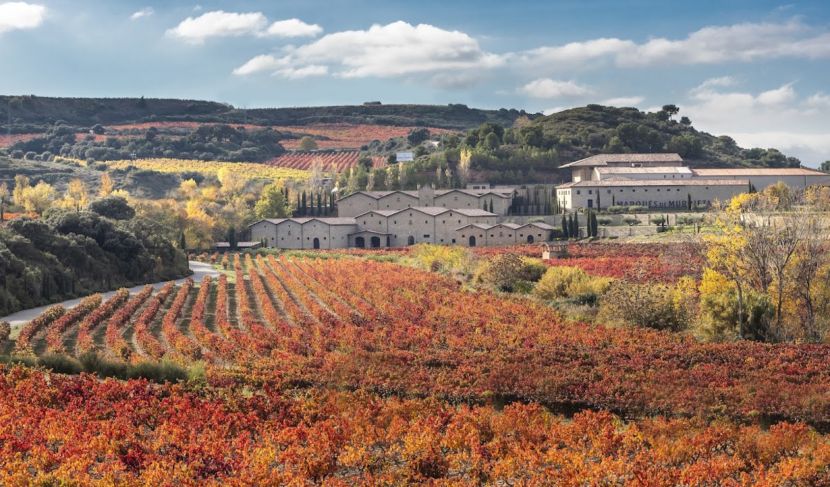 Bodega Marqués de Murrieta