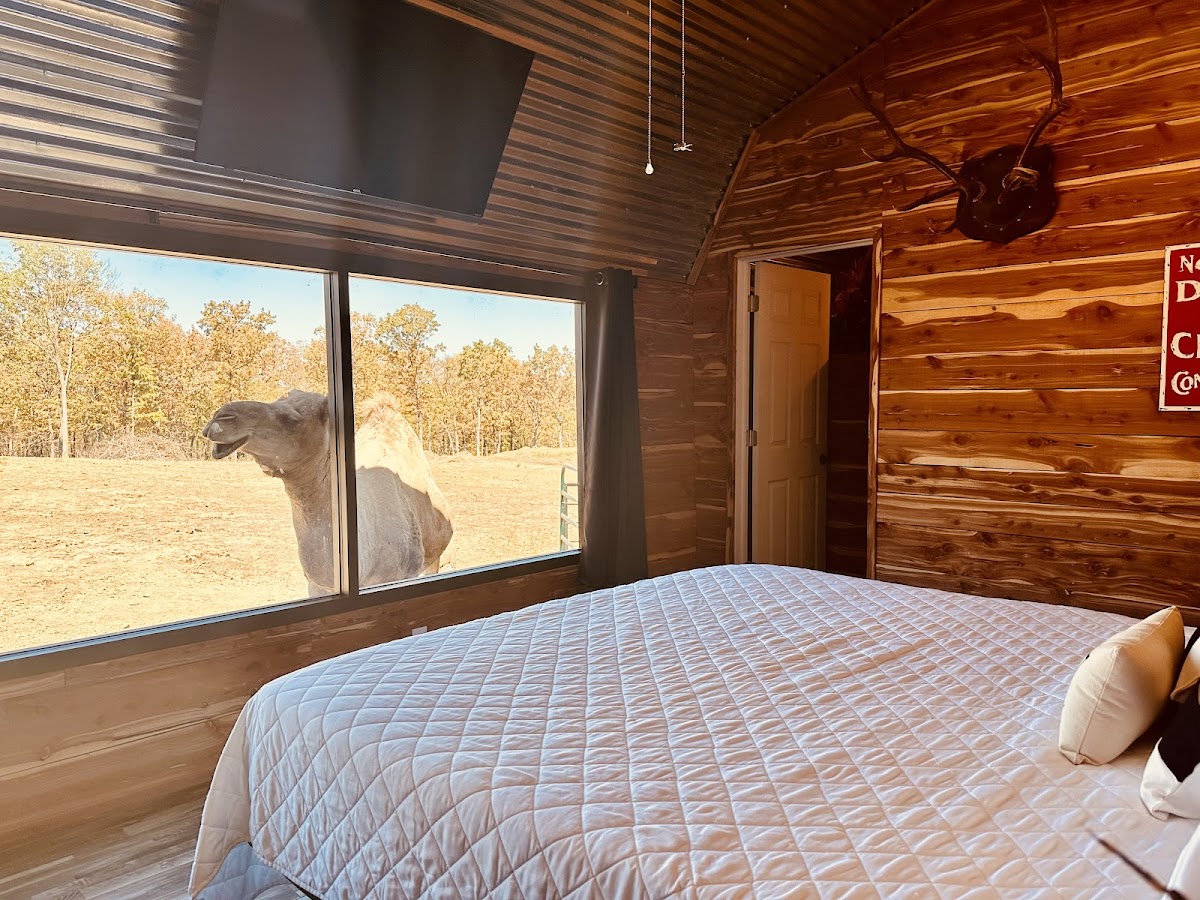 Coble Highland Ranch & Getaways