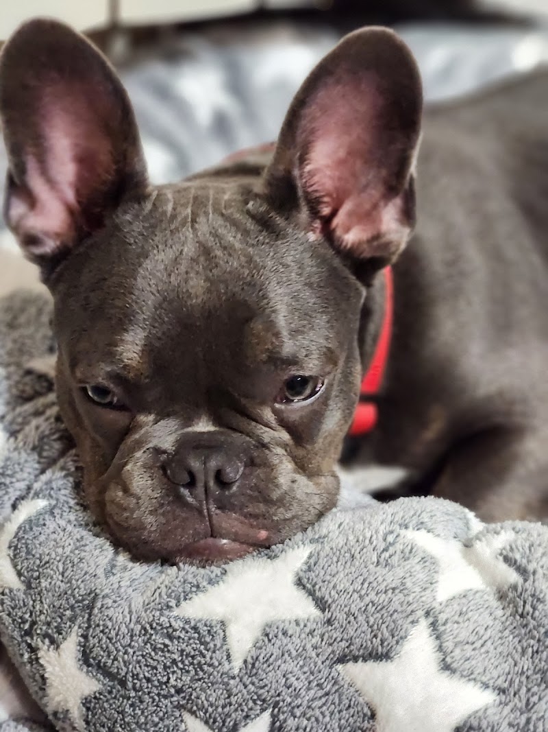 Clínica Veterinaria Bouzas