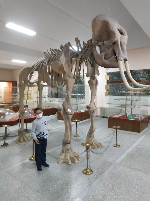 Ege Üniversitesi Tabiat Tarihi Müzesi fotoğraf 1