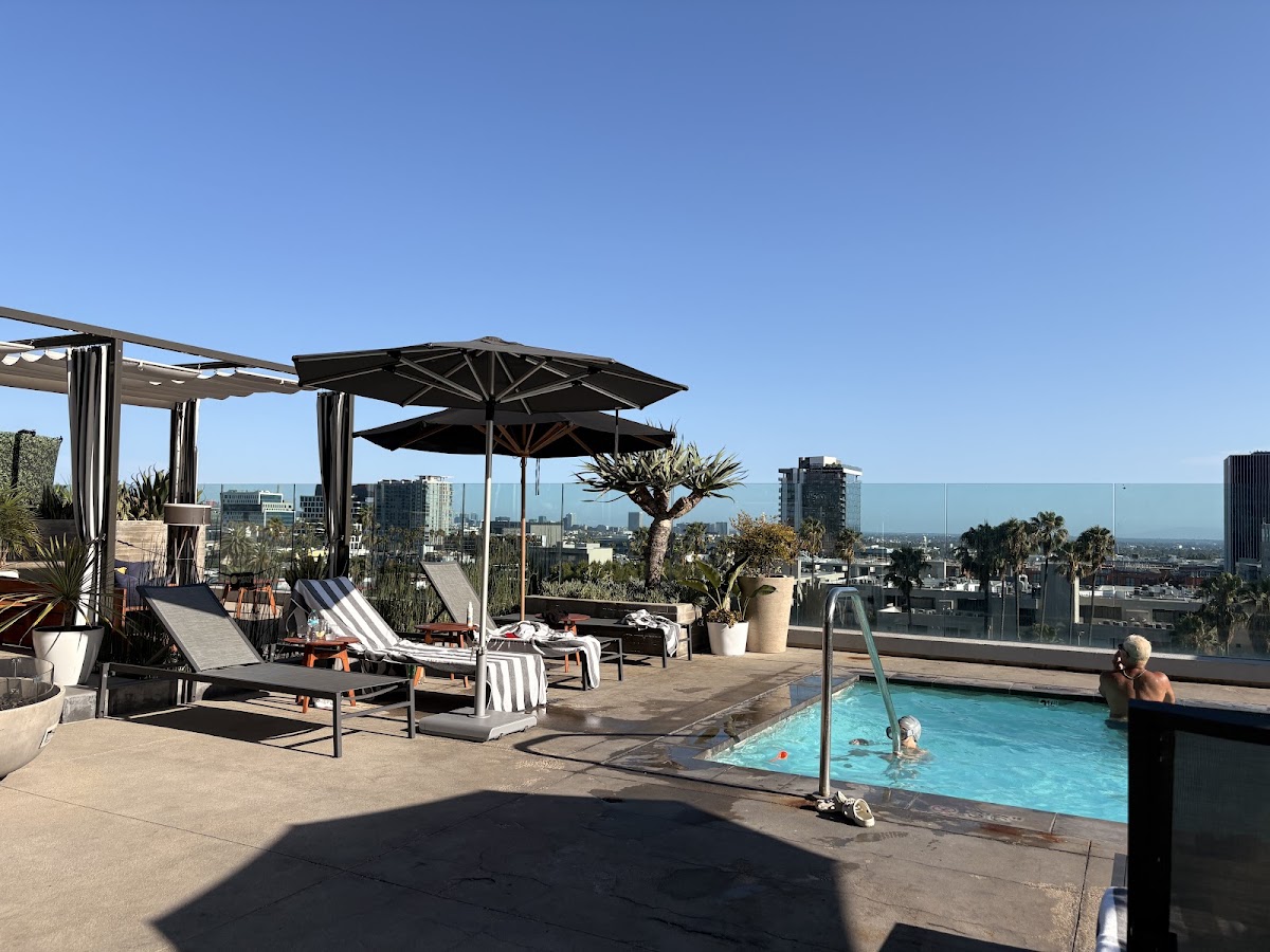 Kimpton Everly Hotel Hollywood, dog-friendly hotel, photo 2