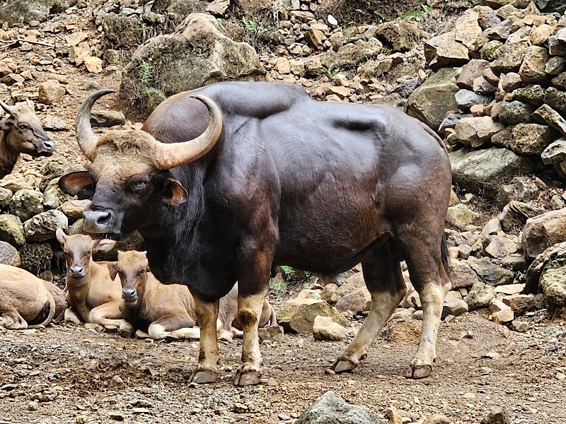 Заповедник Бандла