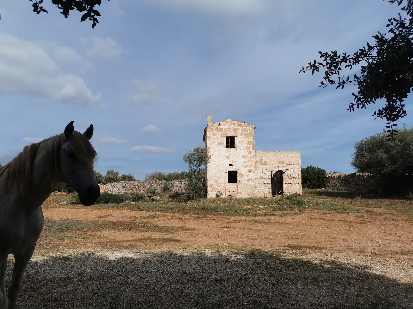 Casa rural Sant Tomás