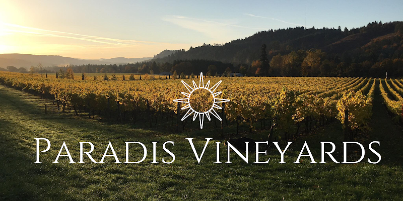 Paradis Vineyards photo 1