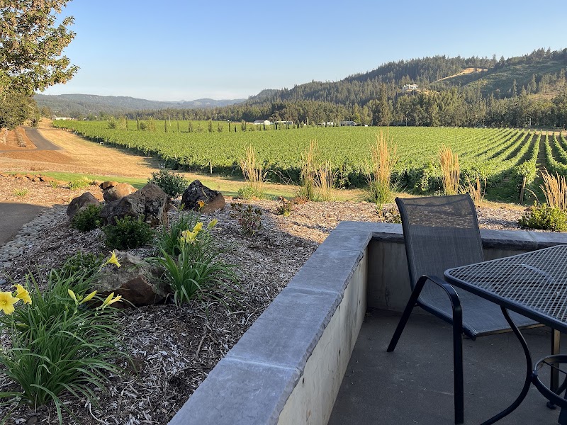 Paradis Vineyards photo 3