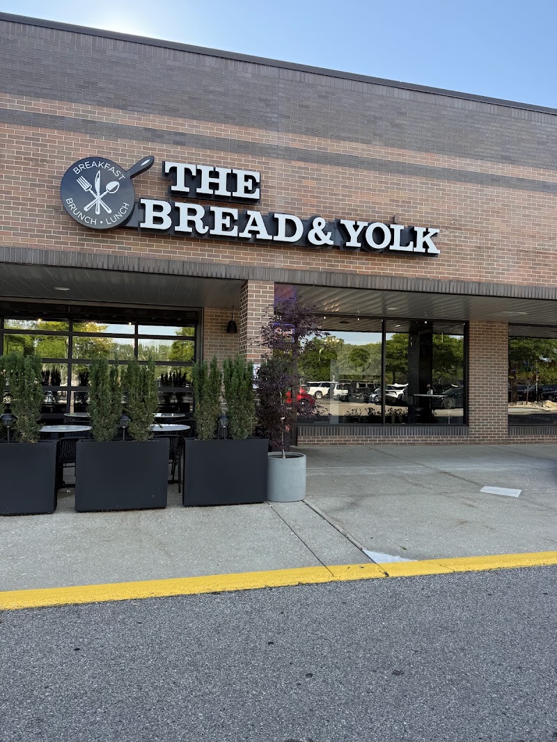 The Bread & Yolk photo 2