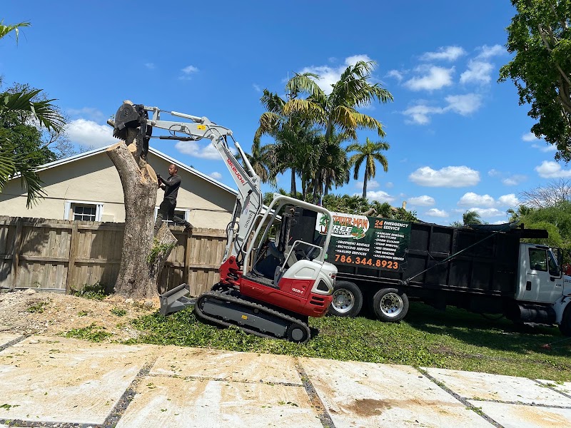 Spider-Man Tree services photo 3