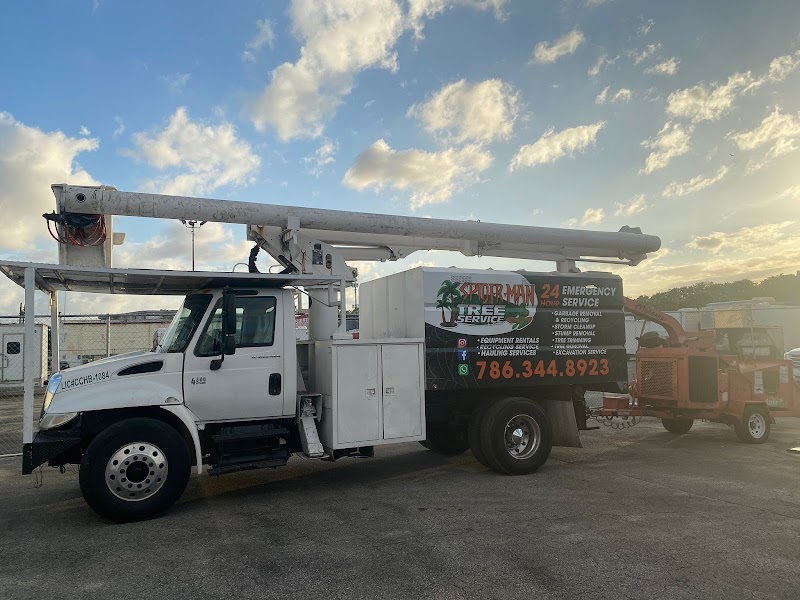 Spider-Man Tree services photo 5