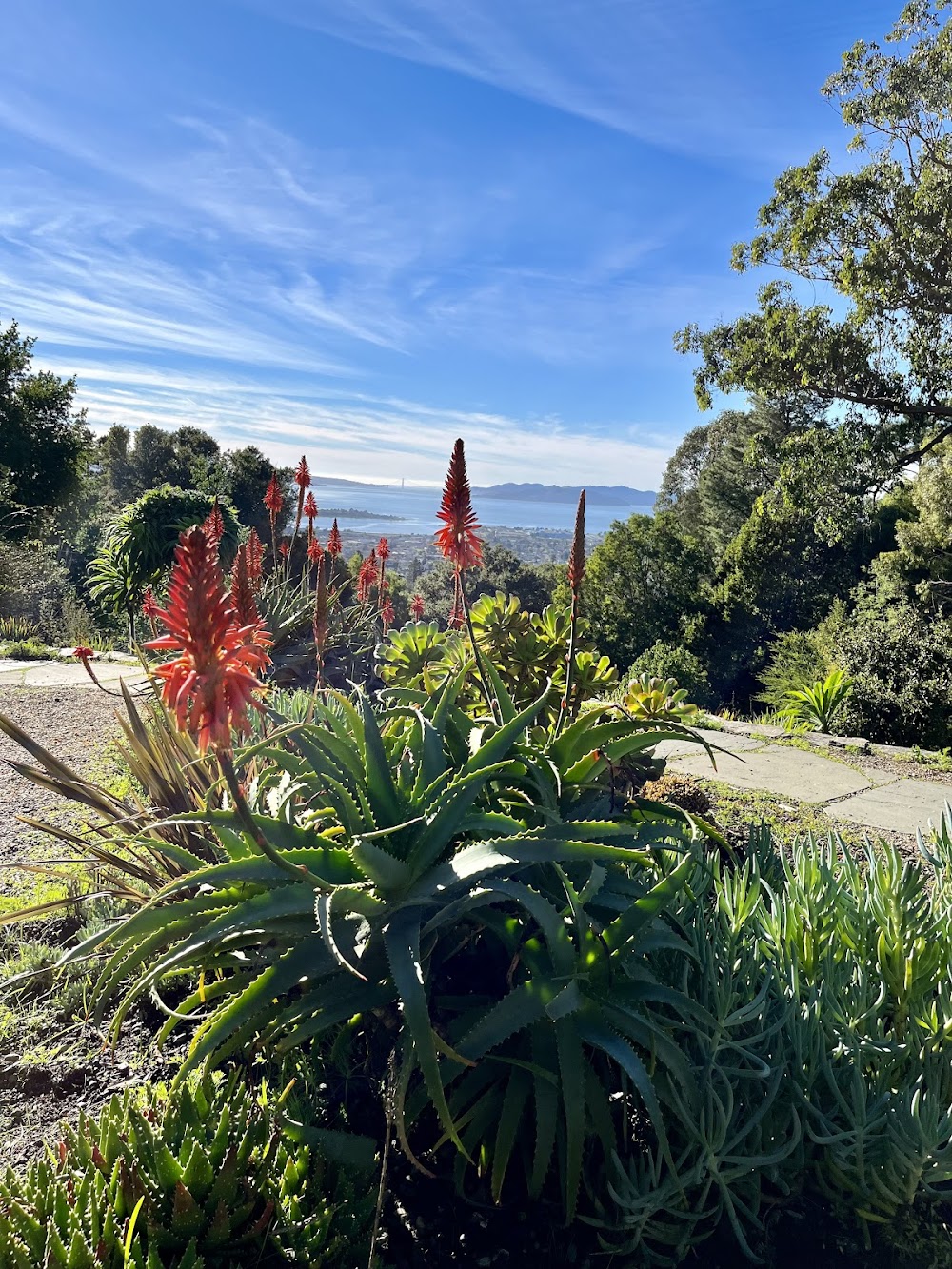 customer photo 1 of Blake Garden UC Berkeley