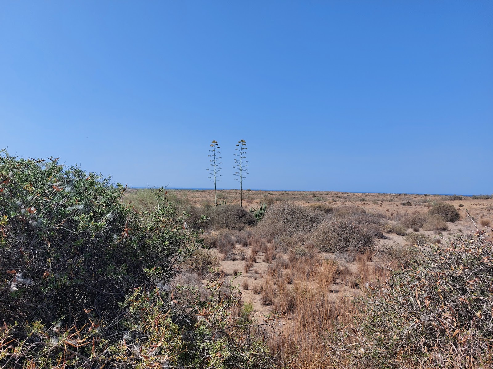 Las Amoladeras Dunes