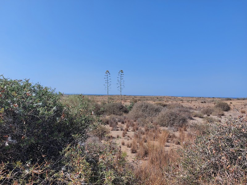 Las Amoladeras Dunes