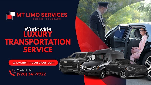 Mt Limousine Worldwide Inc portfolio