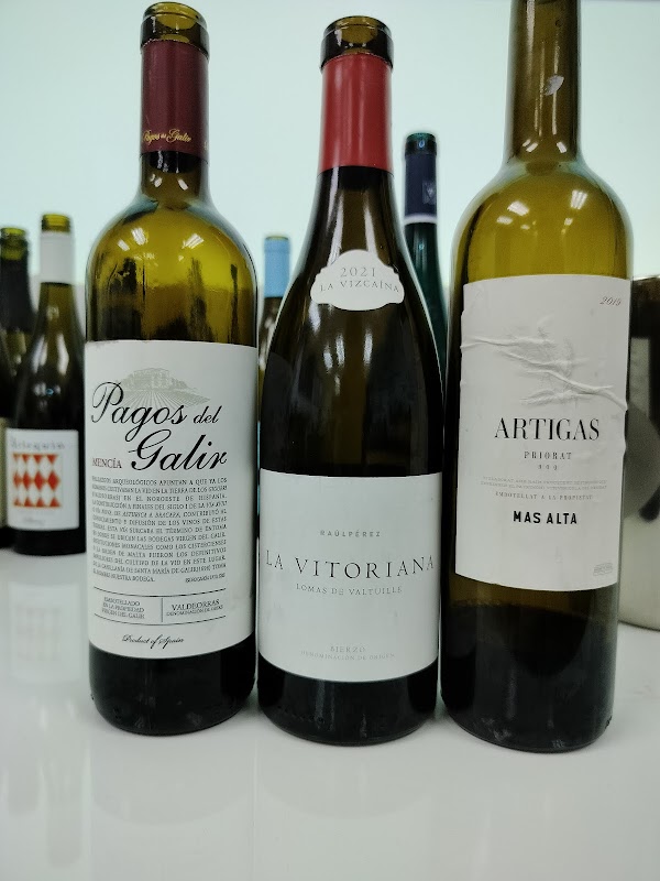 Raúl Pérez Bodegas y Viñedos