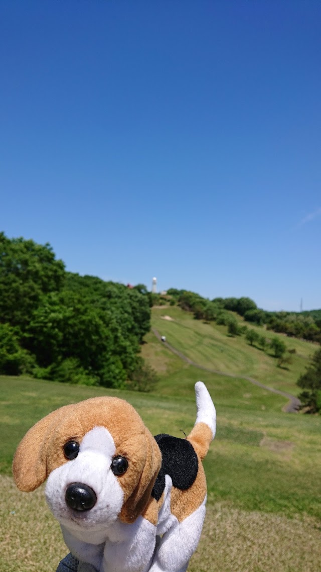 Da Niigata Country Club Sanjo Course - Photo 7