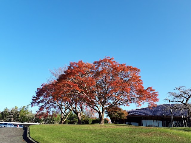 Sakura Country Club - Photo 10
