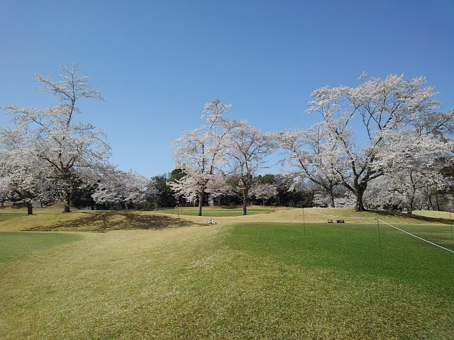 Sakura Country Club - Photo 6