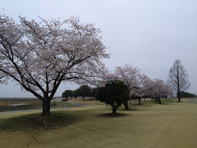 Watarase Country Club - Photo 7