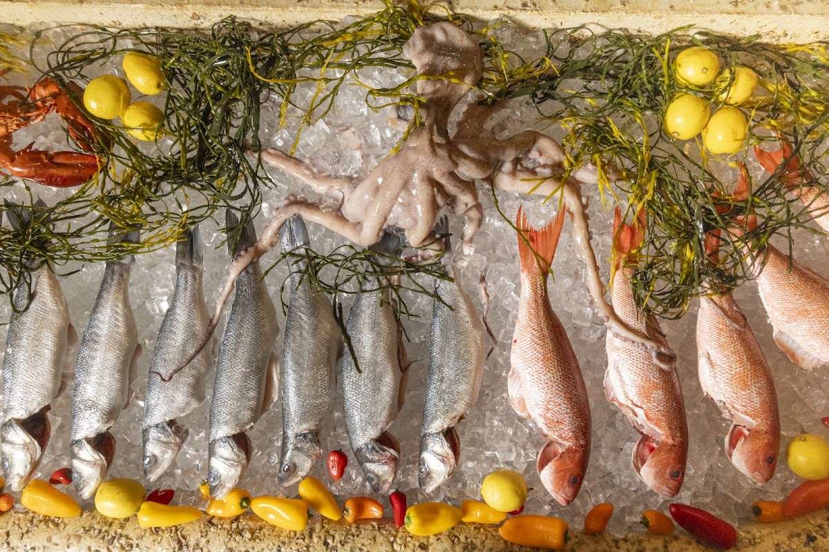 Taverna Philosophia: Aegean Brasserie photo 5