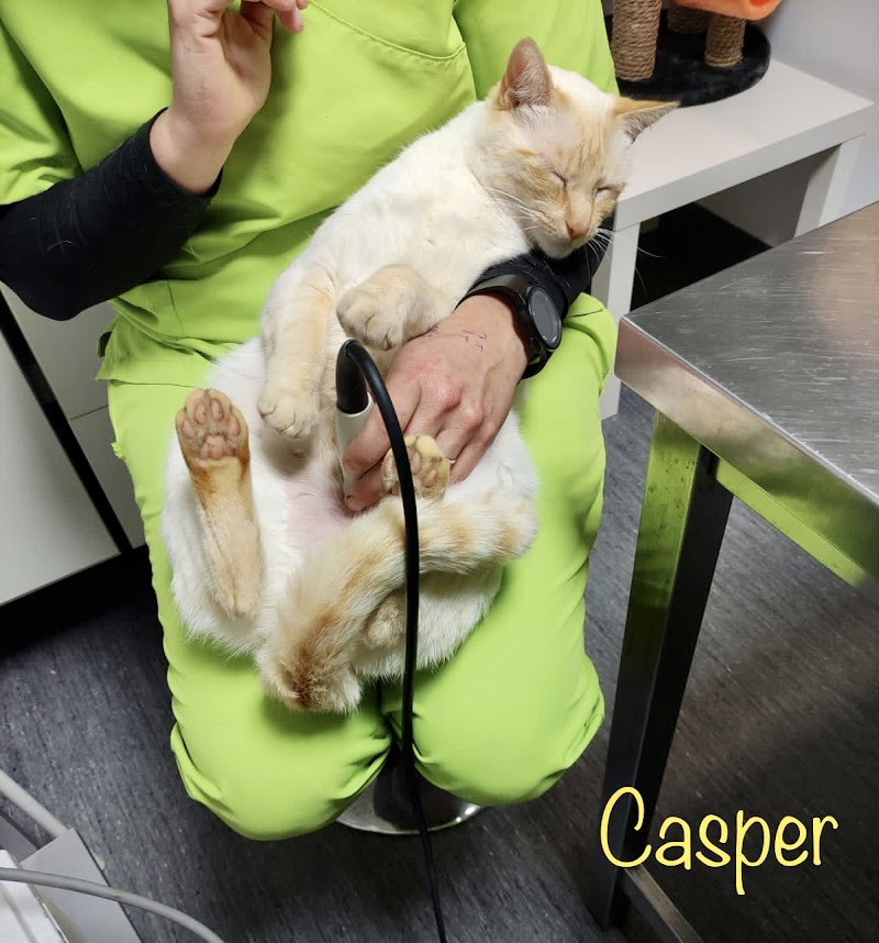 Clínica Veterinaria Animálitas