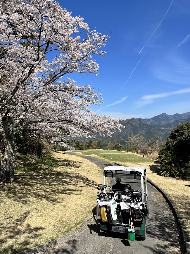 Matsuyama International Golf Club - Photo 8