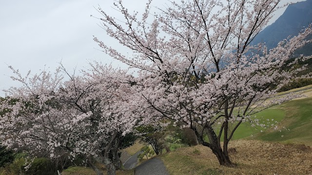 Matsuyama International Golf Club - Photo 3