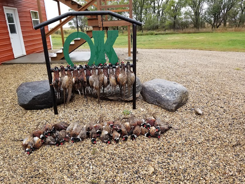 Horseshoe K Ranch - Photo 4