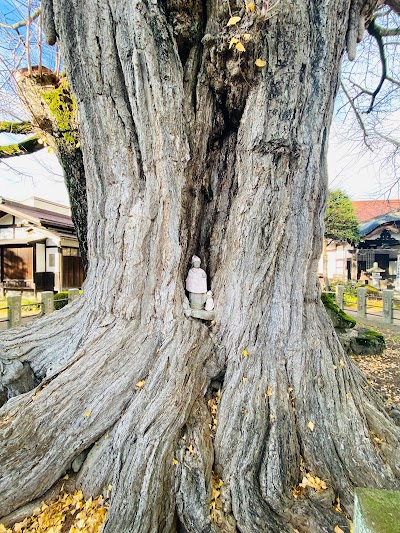 Hida Kokubunji Temple - 3