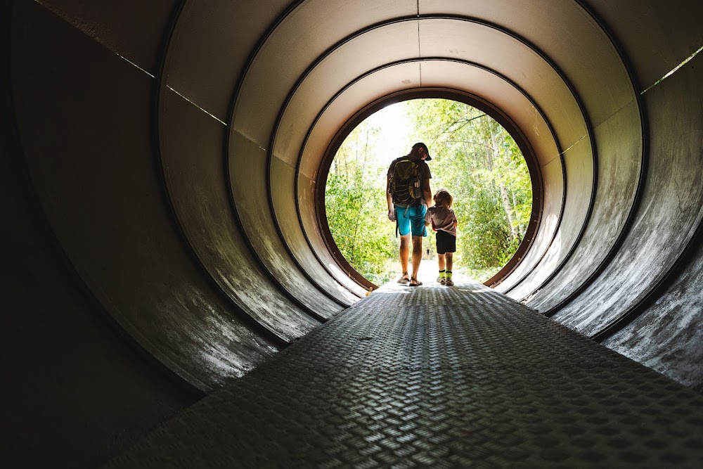 Natur Park Südgelände fotoğraf 1
