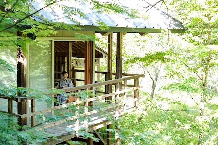 温泉山荘 だいこんの花