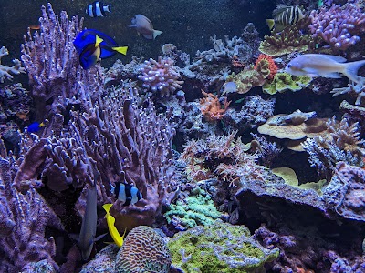 Meeresaquarium am Fichtelberg - Mario Gemballa