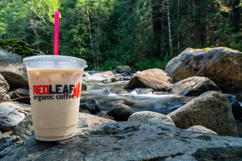 Red Leaf Organic Coffee Drive Thru 15th Ave. photo 2