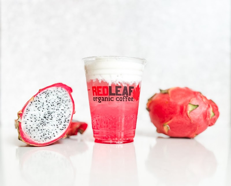 Red Leaf Organic Coffee Drive Thru 15th Ave. photo 4