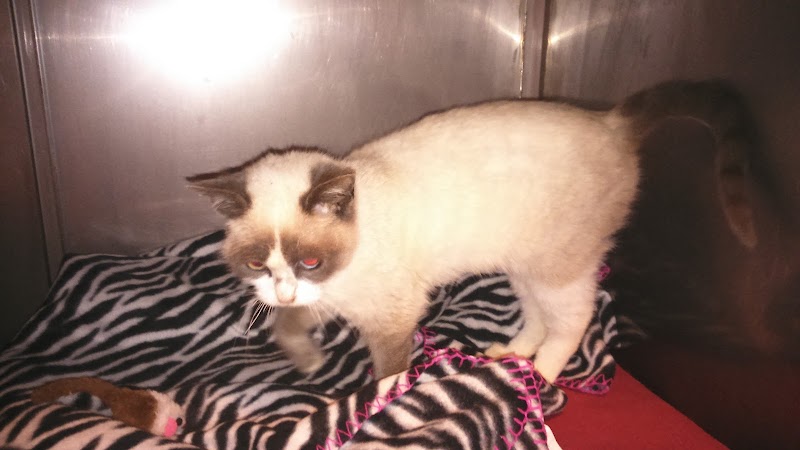 Centro Veterinario Arrontegi