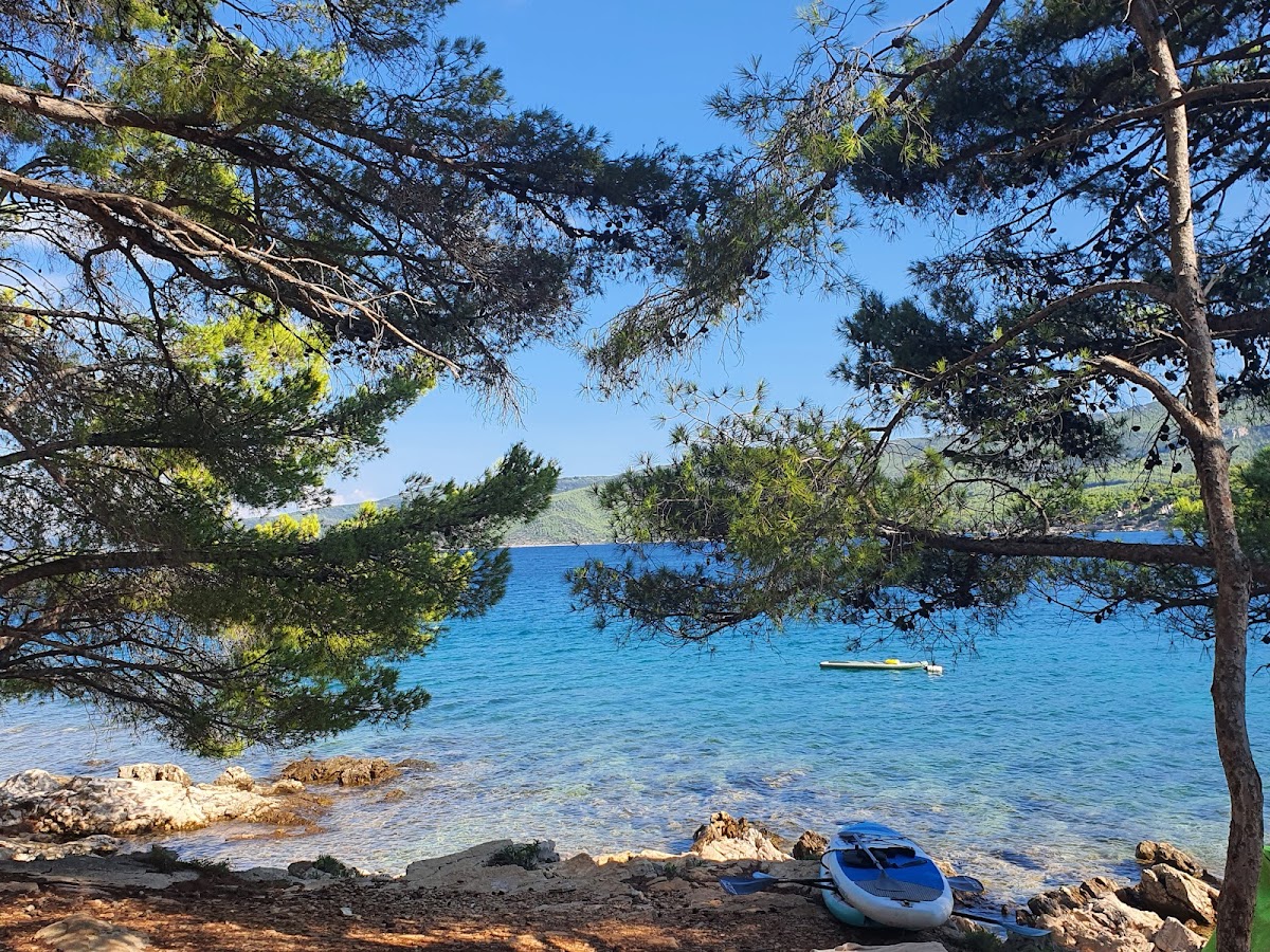 Suncokret Body & Soul Retreat — 3