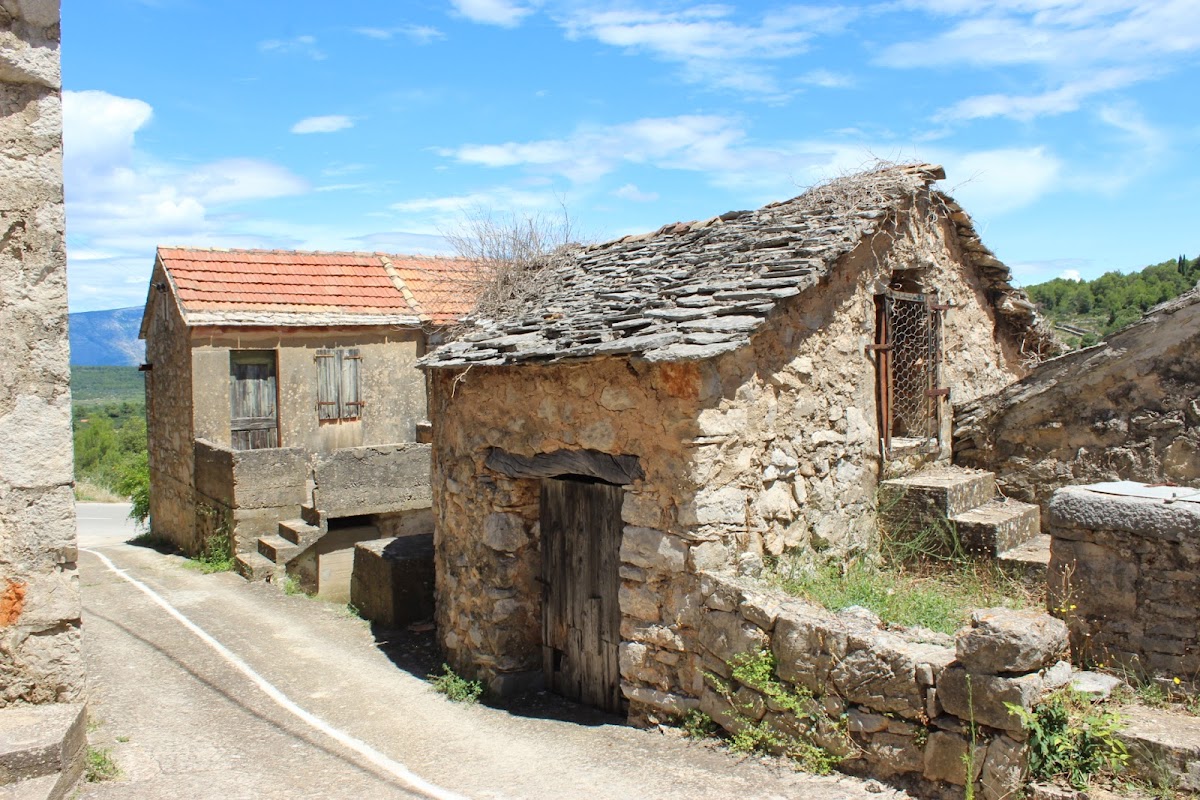 Suncokret Body & Soul Retreat — 4