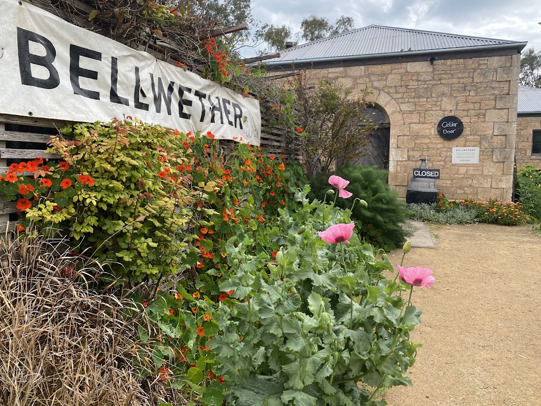 Bellwether Wines