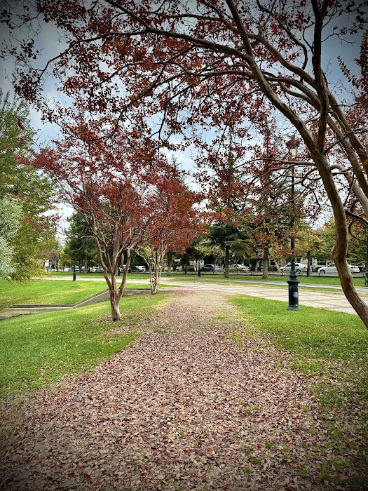 Kavaklık Parkı fotoğraf 1