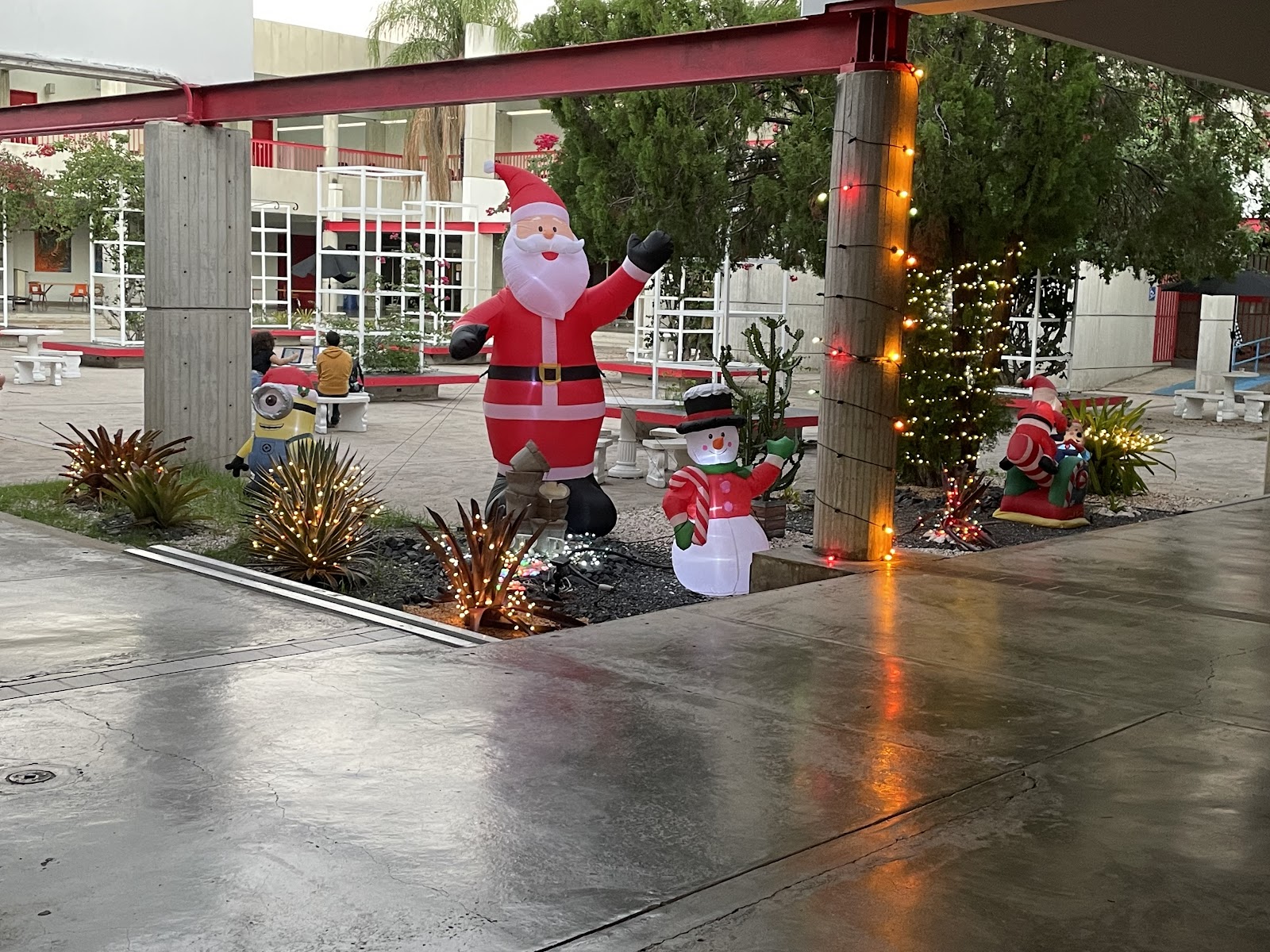 University of Puerto Rico at Ponce（Ponce、プエルトリコ）