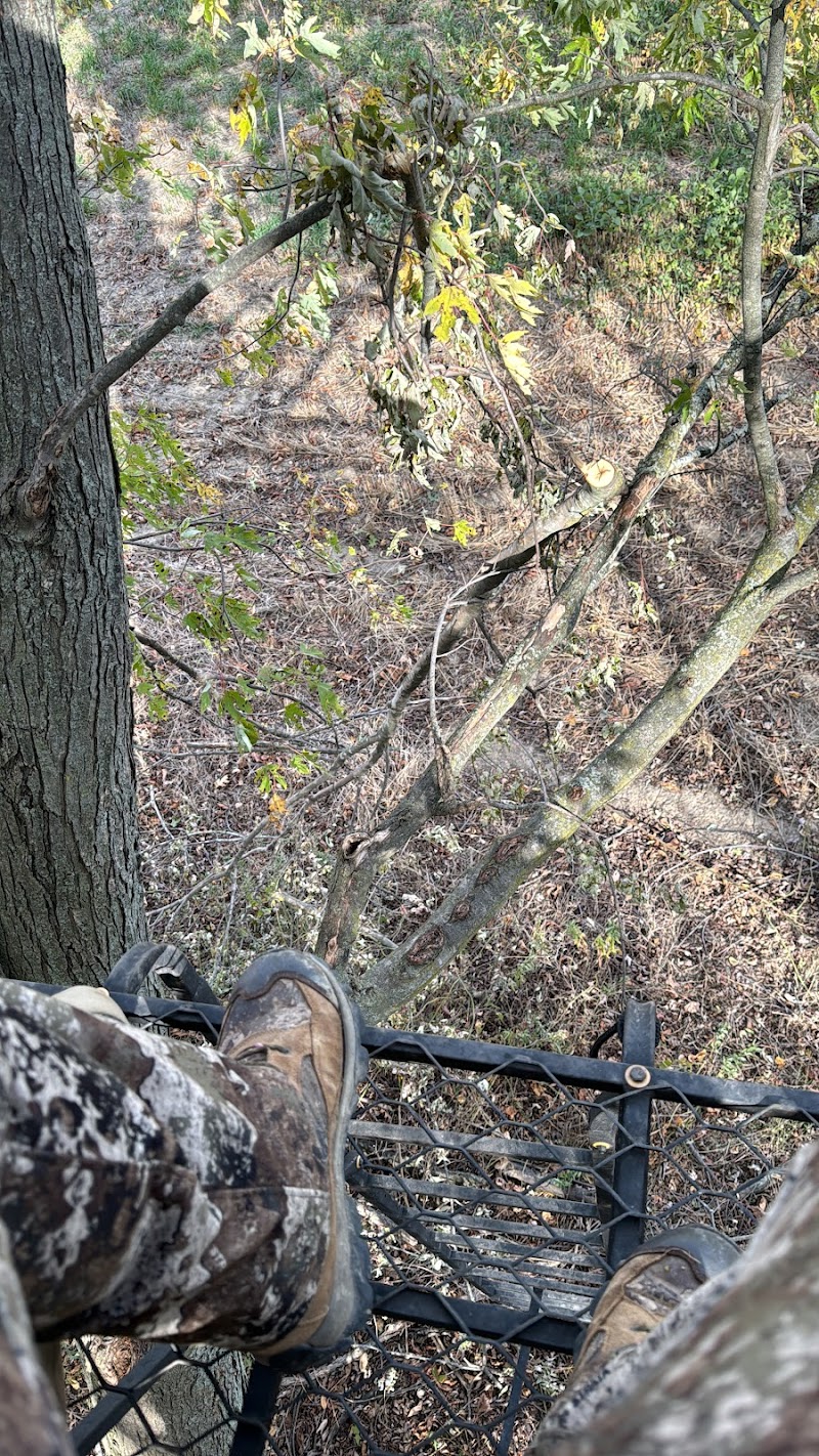 whitetail chasers llc - Photo 6