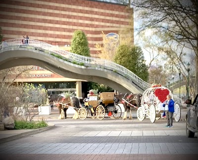 Chattanooga River Market