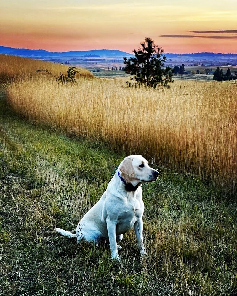 Double Barrel Ranch - Photo 3