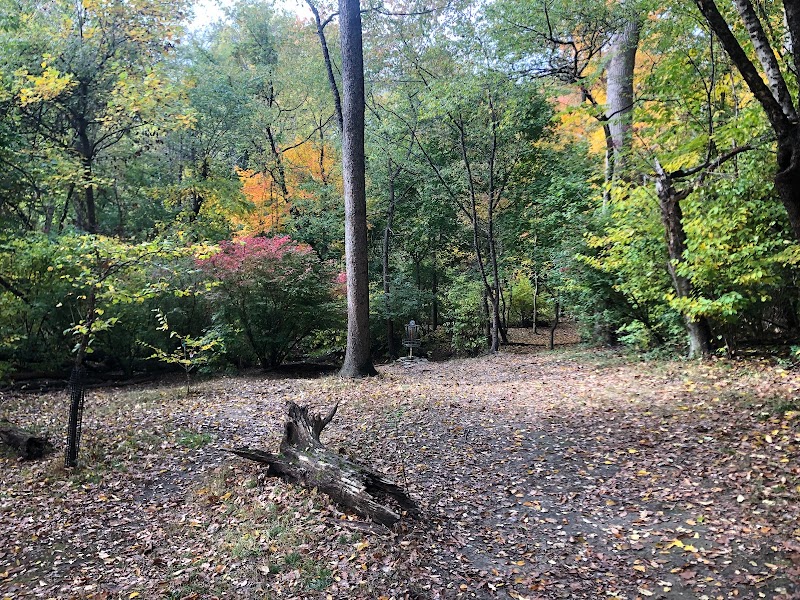 Sedgley Woods Disc Golf photo 1