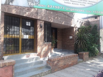 Foto 4