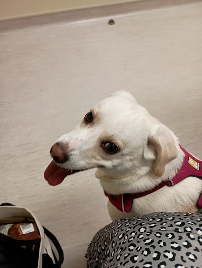 Red Bank Animal Hospital