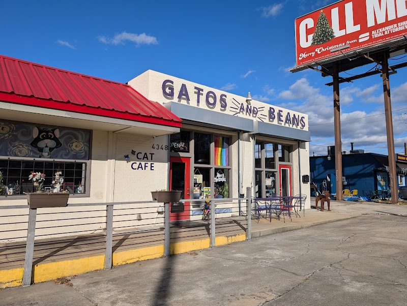 Gatos & Beans Cat Cafe