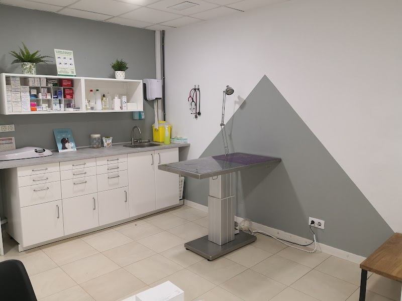 iVet Centre Veterinari