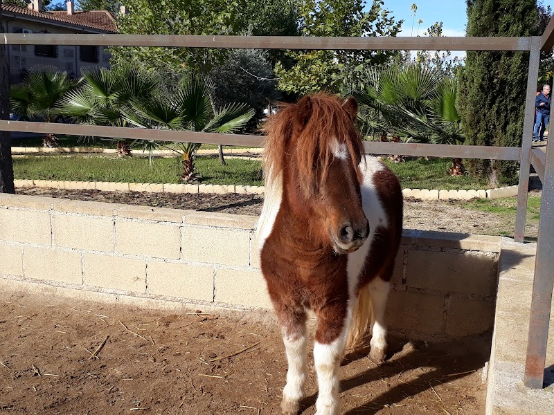 Granja Escuela la Chopera