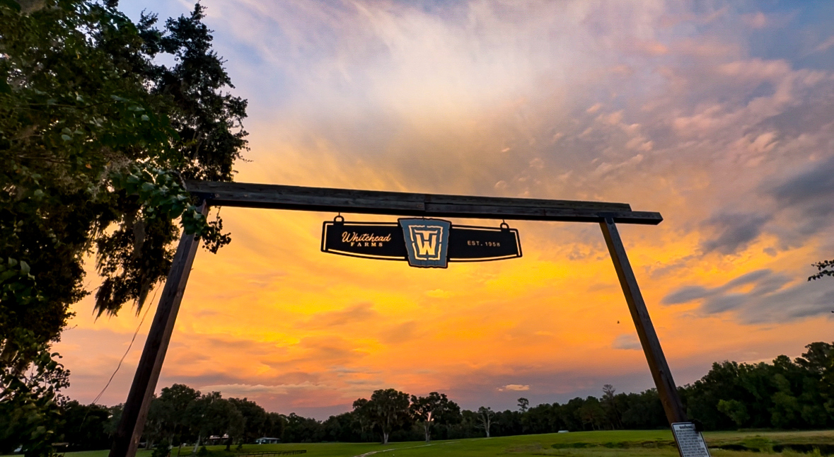 Whitehead Farms